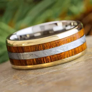 Ironwood and Meteorite Wedding Band with Gold Accents