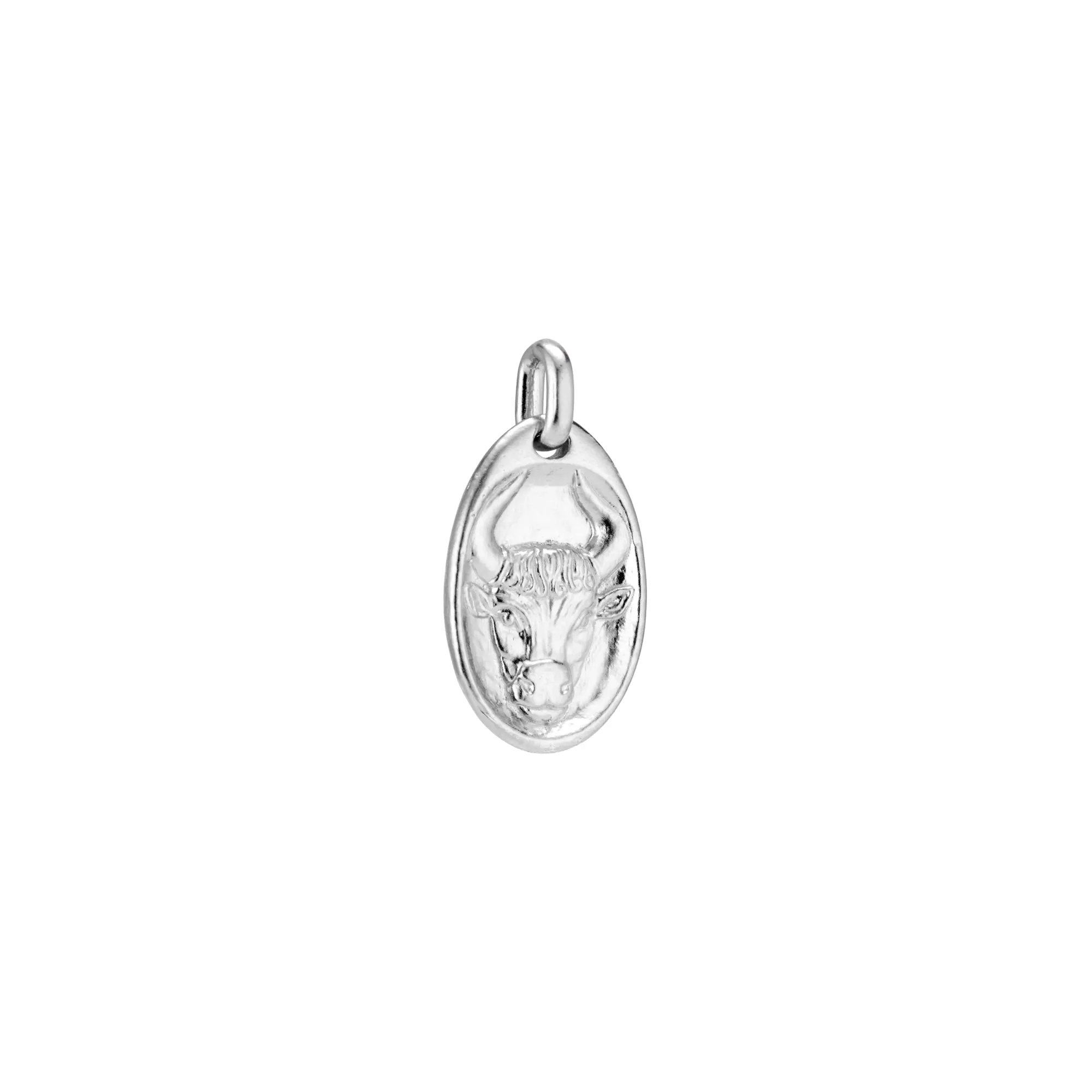 Taurus Medallion
