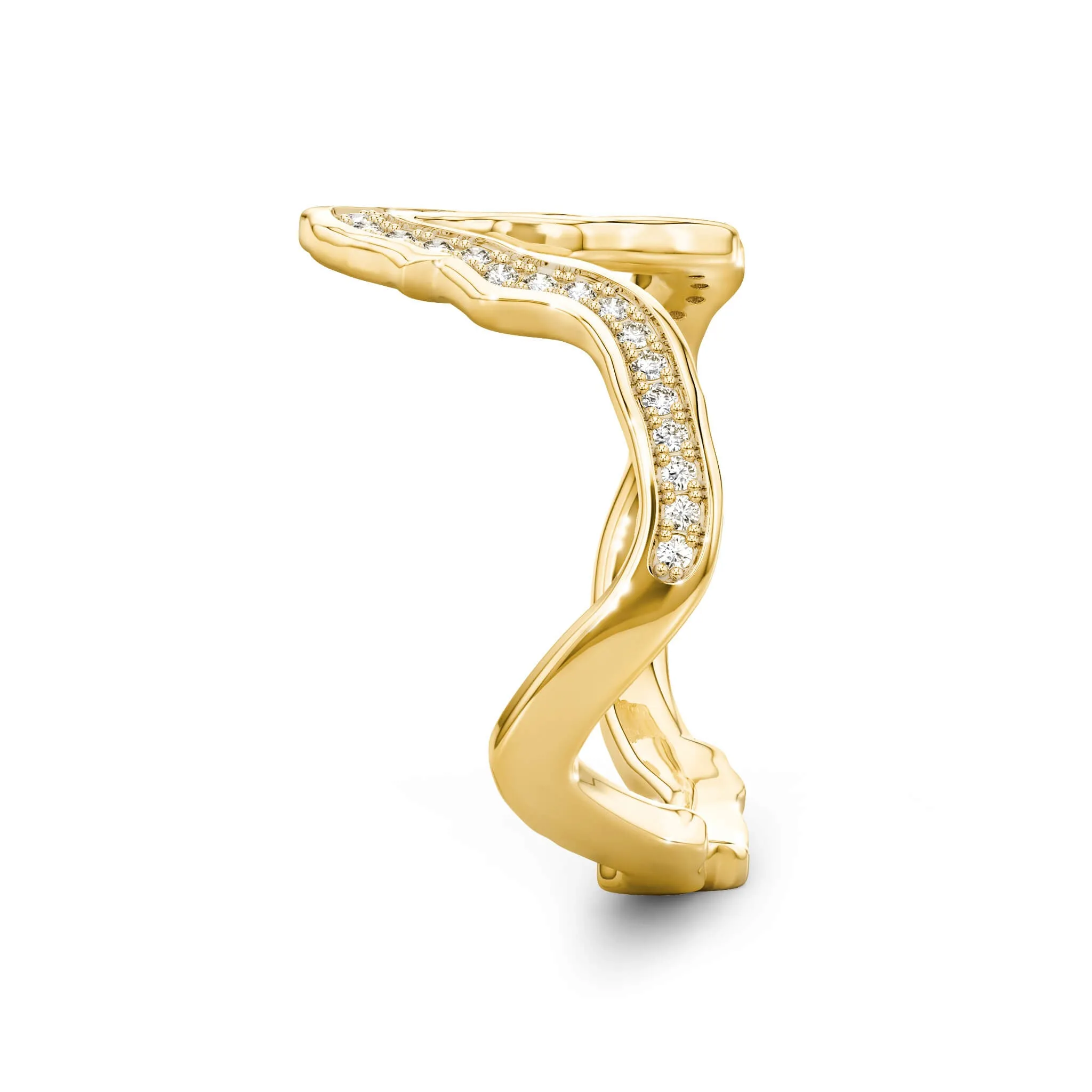 Tip of Africa Diamond Ring